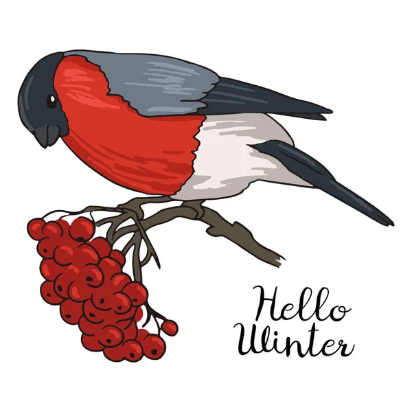 Şakrak kuşu kuş. Vektör çizim