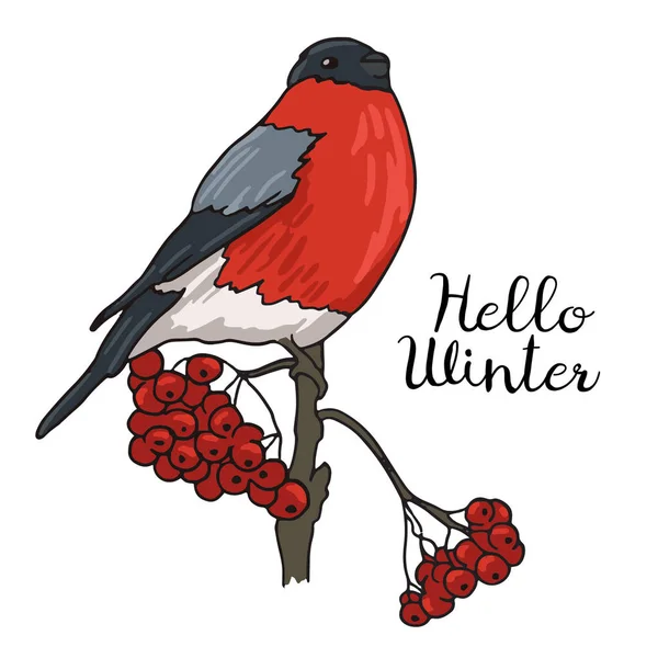 Şakrak kuşu kuş. Vektör çizim