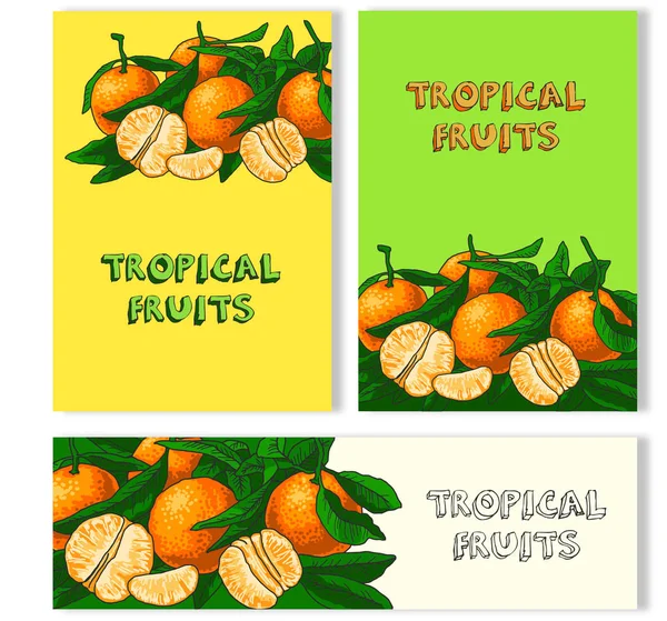 Afiş ve mandalina kartlarla. Tropikal meyve ve yaprakları