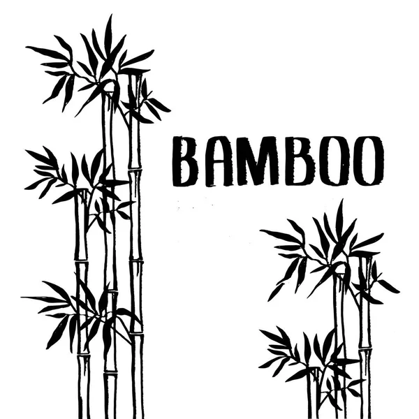 Arbusto de bambú — Vector de stock