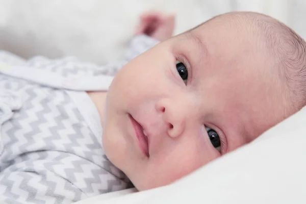 Newborn baby quiet looking, dark eyes, face closeup
