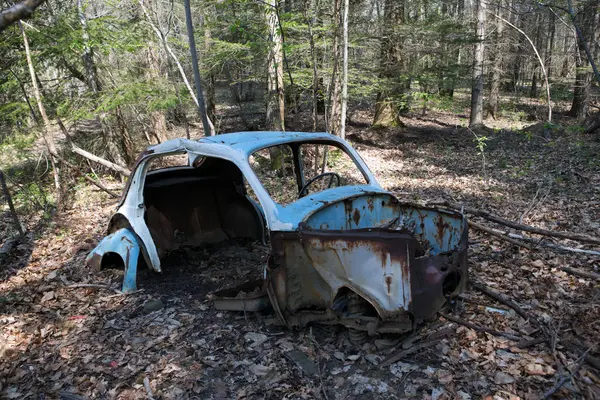 프랑스어 숲에 버려진된 자동차 — 스톡 사진