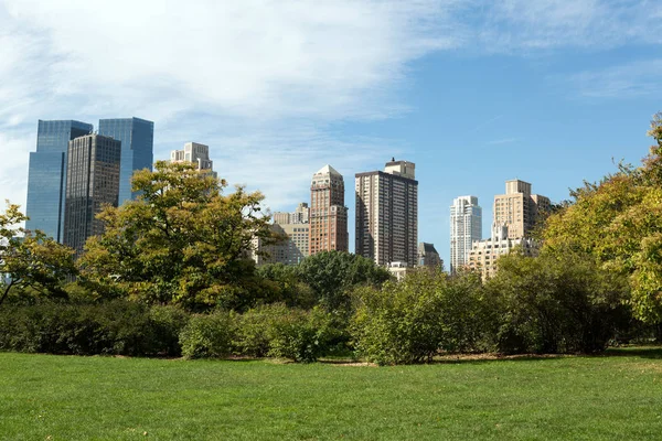 Central Park w Nowym Jorku — Zdjęcie stockowe