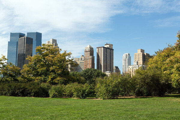 Grass field in Central park, New York