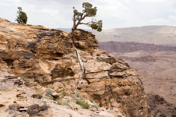 Petra landscape — Stock Photo, Image