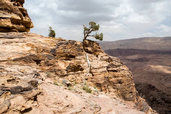 Petra landscape — Stock Photo, Image