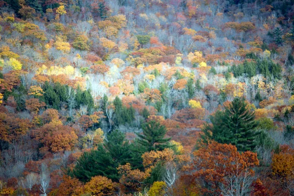 Bergen en bossen in de herfst — Stockfoto