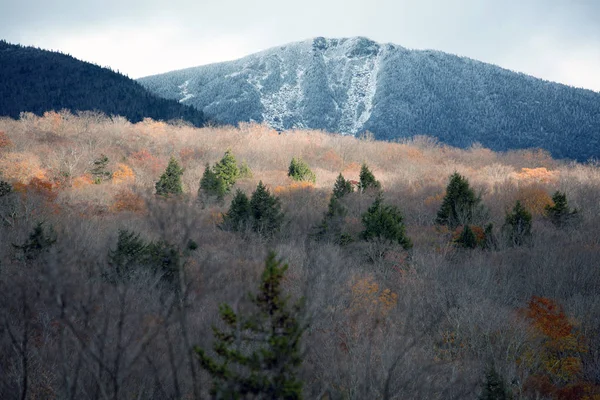 Montagnes et forêt en automne — Photo