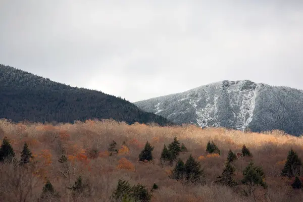 Berge und Wald im Herbst — Stockfoto