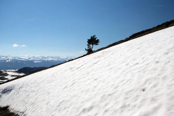 Ascou と Camurac の間のフランスのピレネーの山々 — ストック写真