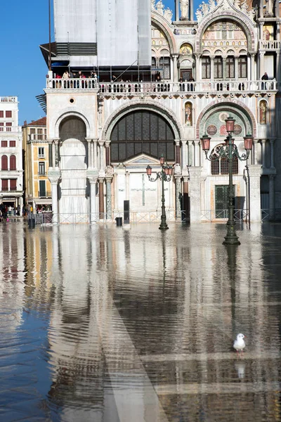 Piazza San Marco Venezia Italia — Foto Stock