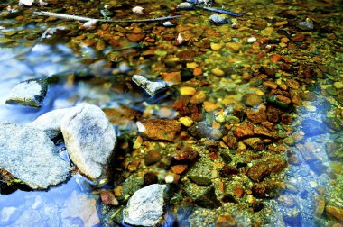 yavaş hareketli akarsu