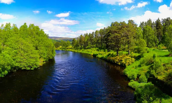 İskoç kırsal — Stok fotoğraf