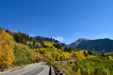 Aspens sonbahar için renk değiştiriyor San Juan Skyway, Colorado.