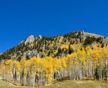 San Juan Skyway, Colorado 'da sonbahar renkleri.