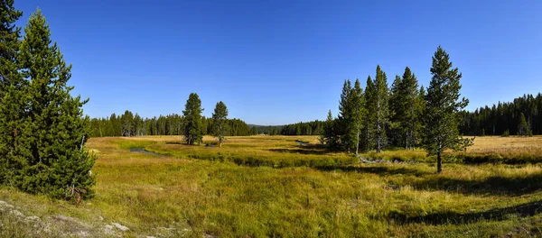Prado Com Rio Madison Fluindo Através Dele Yellowstone National Park — Fotografia de Stock
