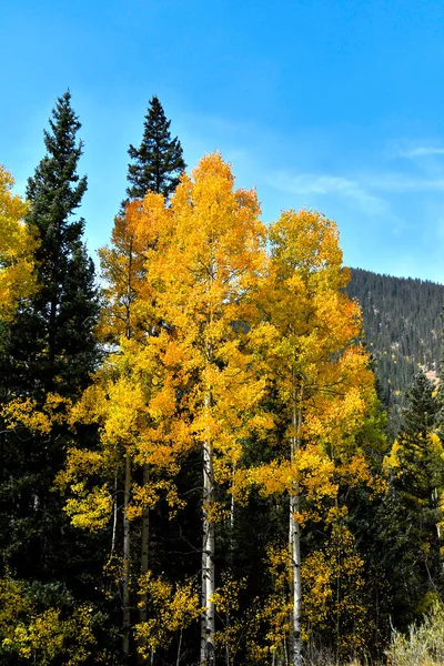 Fall Colors San Juan Skyway Colorado — Stock Photo, Image