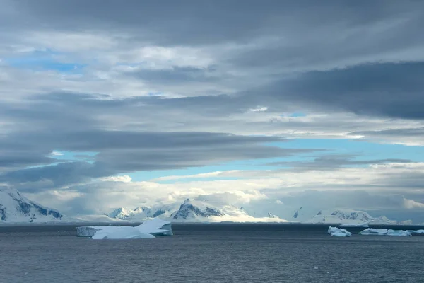 Icebergs Bleus Flottant Devant Île Elephant Antarctique Photos De Stock Libres De Droits