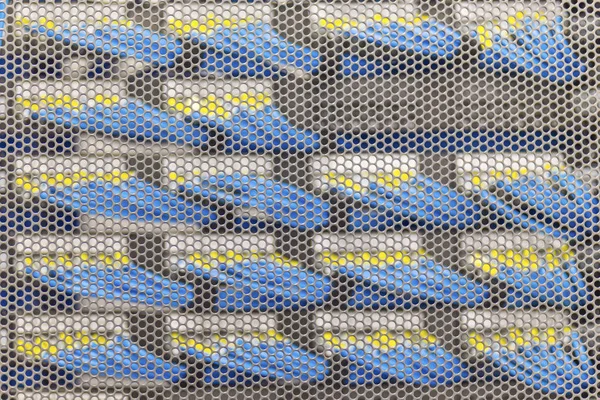 LAN-kabel in Cambridge Server Rack — Stockfoto