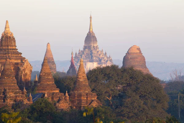 Bagan tempel under golden hour — Stockfoto