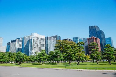 Tokyo modern bina mavi gökyüzü altında