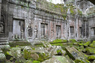 Orman Angkor Wat tapınağını ele geçirir.