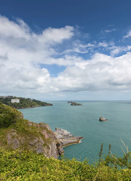 Vista de Daddy Hole, Torquay — Fotografia de Stock