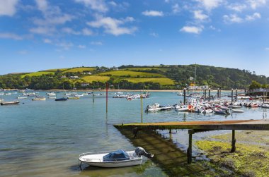 Salcombe liman, Güney jambon,