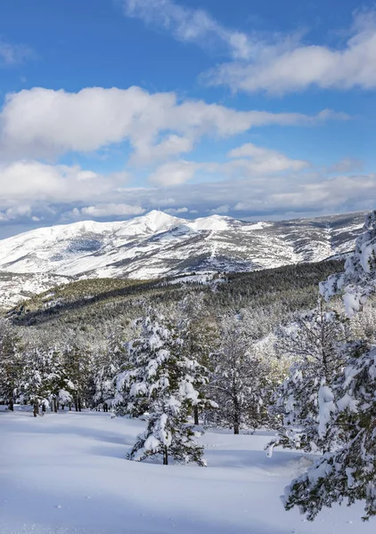 Los Filabres bergen täcks av snö — Stockfoto
