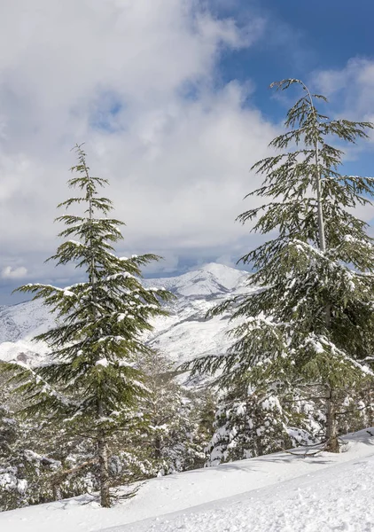 Los Filabres bergen täcks av snö — Stockfoto