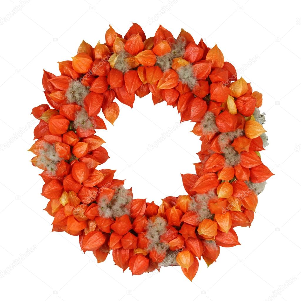  Autumnal Wreath with Physalis and Withywind (Physalis alkekengi and Clematis vitalba)