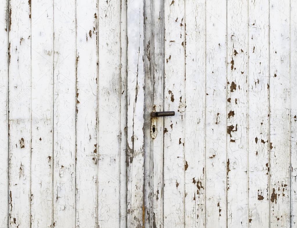 Vintage Barn Door with Exfoliating White Gloss Paint