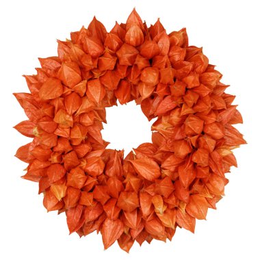 Physalis (Physalis alkekengi) beyaz ile sonbahar çelenk