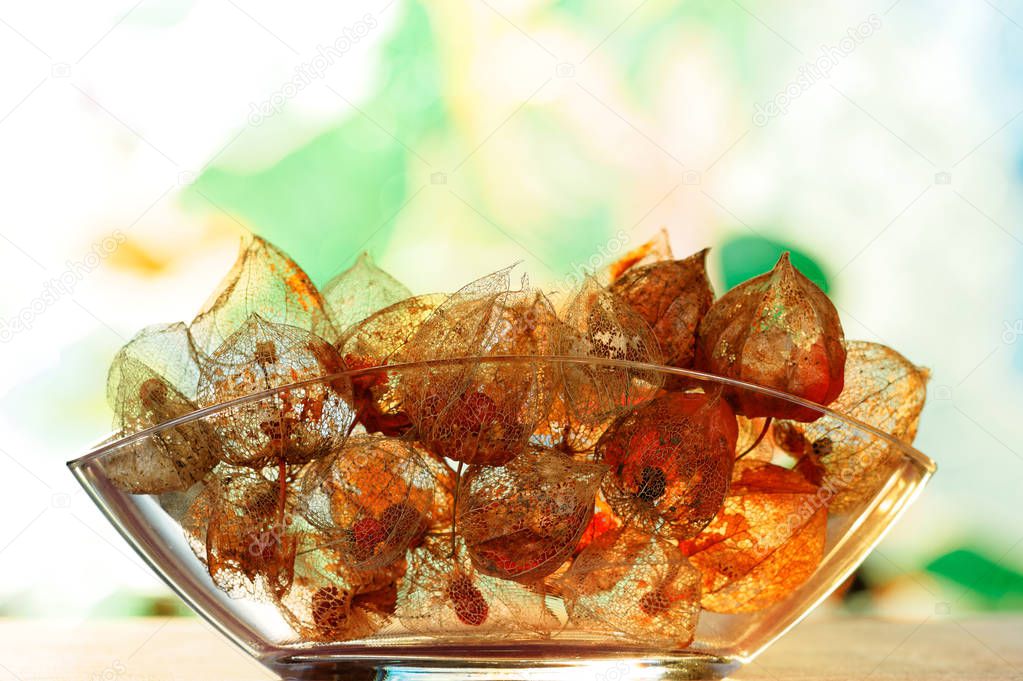Glass Bowl with weathered Physalis alkekengi - Autumnal Decoration