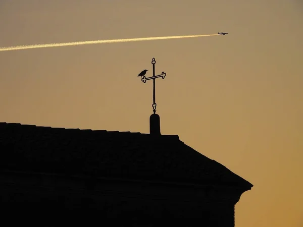 Concept Photo Learning Fly Bird Observing Airplane Flying Sky Sunset — Stock fotografie