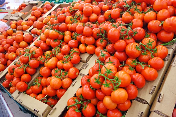 Caixas com tomates no supermercado — Fotografia de Stock