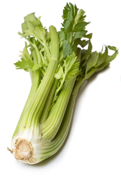 Green Celery on white — Stock Photo, Image