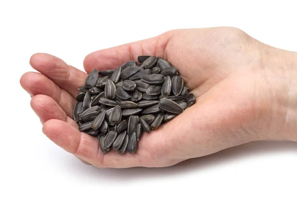 Sunflower seeds in the palm — Stock Photo, Image