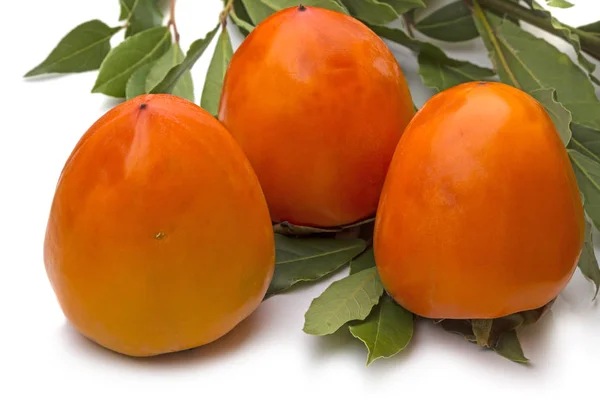 Persimmon i liście laurowe — Zdjęcie stockowe