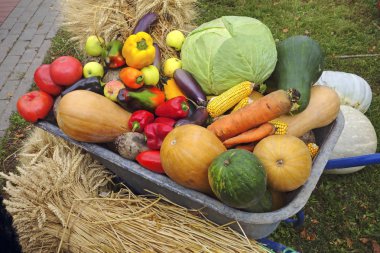 Sebze ve elma ile el arabası