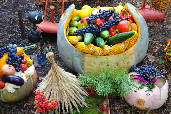 果物や野菜と秋の静物 — ストック写真
