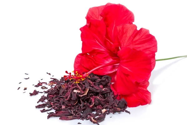 Floral hibiscus tea on white — Stock Photo, Image