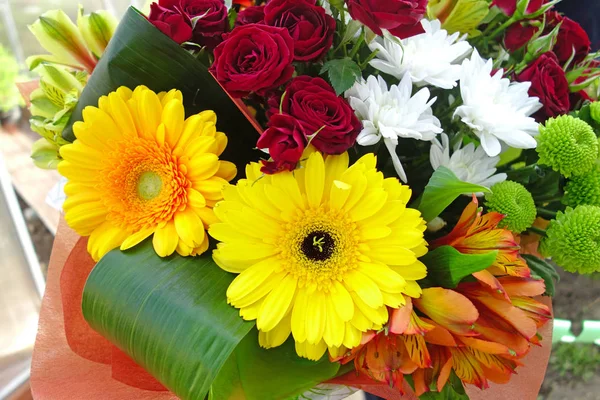 Flores de gerbera em um buquê — Fotografia de Stock