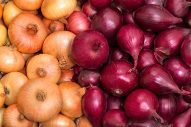 Background of red and yellow onions clipart