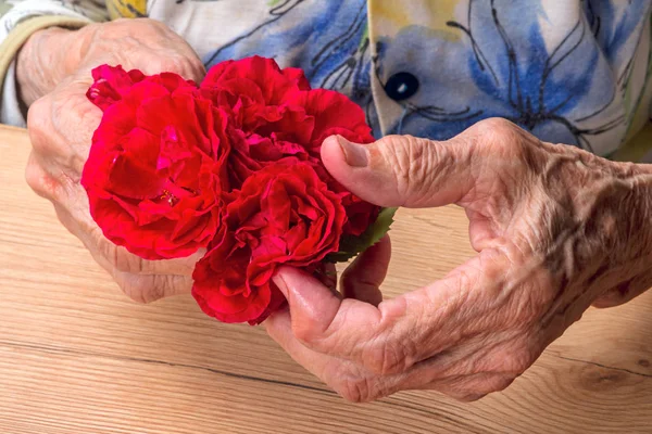 Hände einer alten Frau mit roten Rosen — Stockfoto