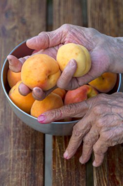 Kayısı ile yaşlı bir kadın elinde
