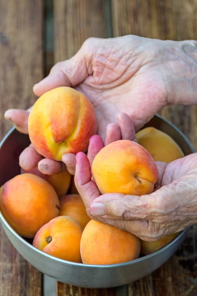 Yaşlı bir kadın ile kayısı elinde