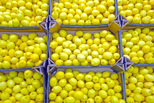 Boxes of fresh  lemons — Stock Photo, Image