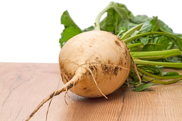 Sugar beet plant on the table — Stock Photo, Image