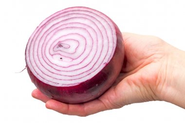 Half red onion in hand clipart